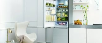 Как выбрать лучший бюджетный холодильник для дома